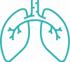 Lung@2x Lung@2x
